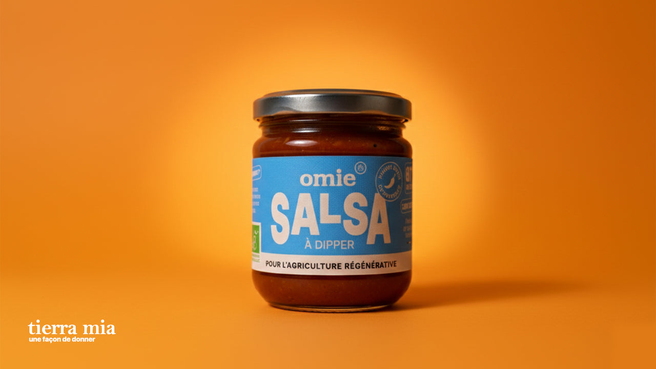 Salsa Dip Orgánica